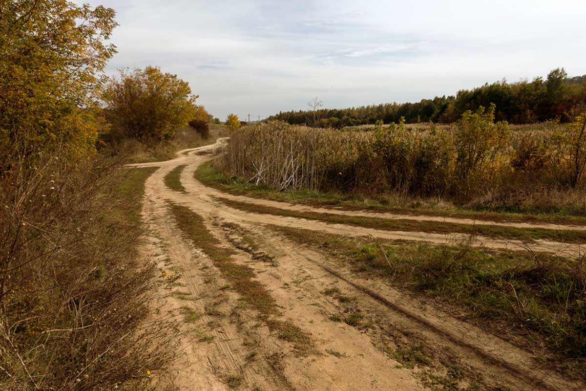 Limited Internet in rural Michigan depresses student, business opportunity | Bridge ...1200 x 800