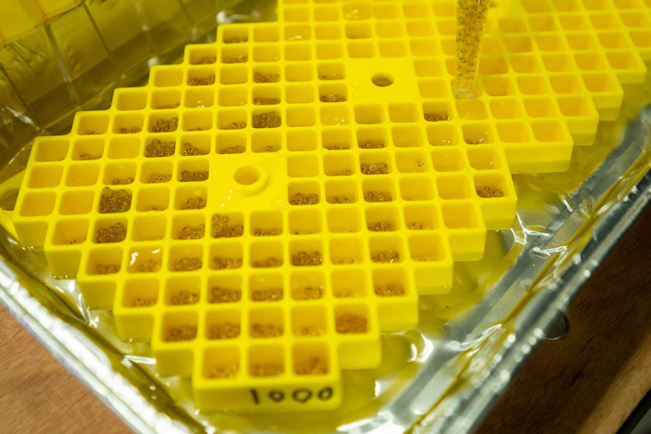 a yellow plastic tray