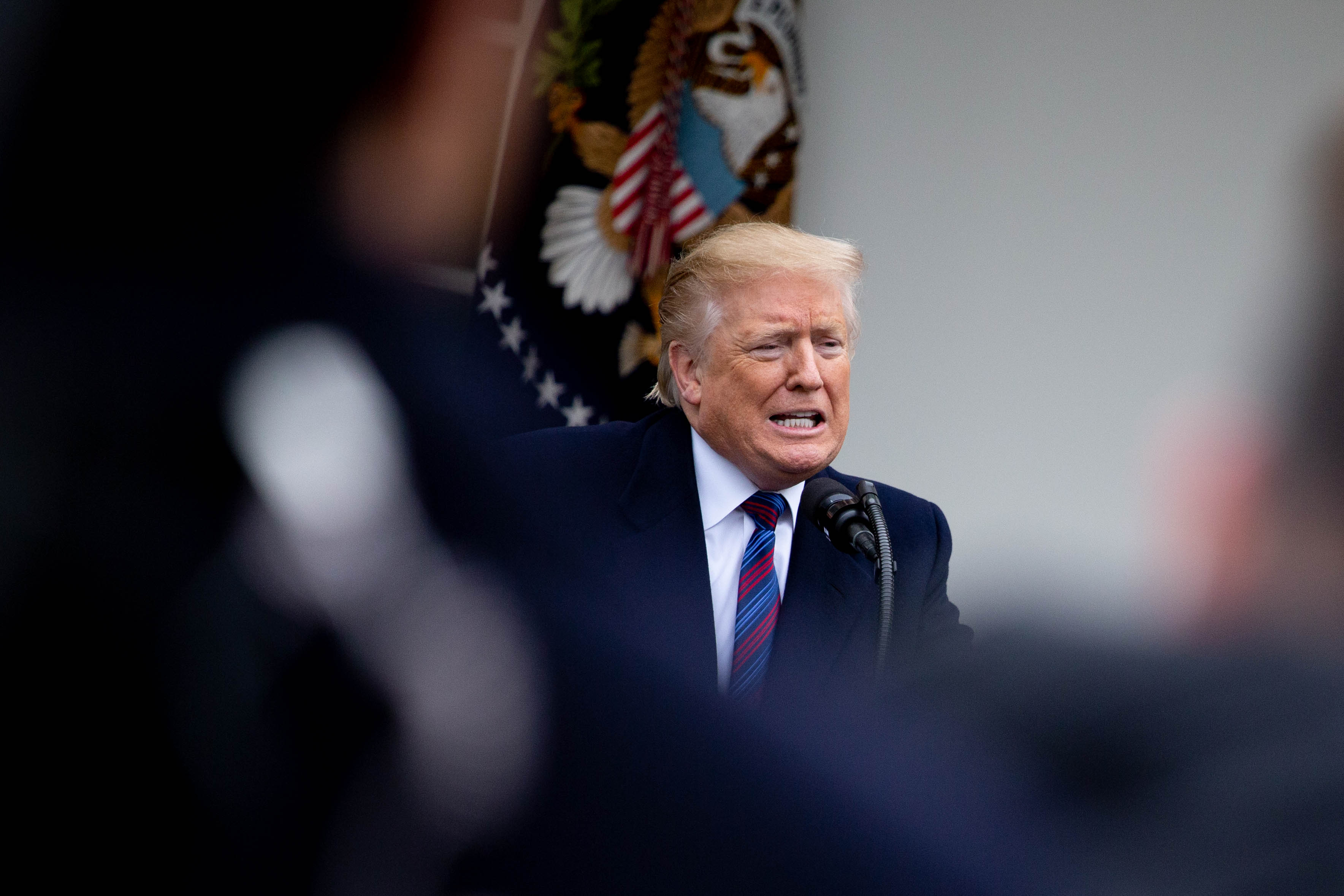 trump trump