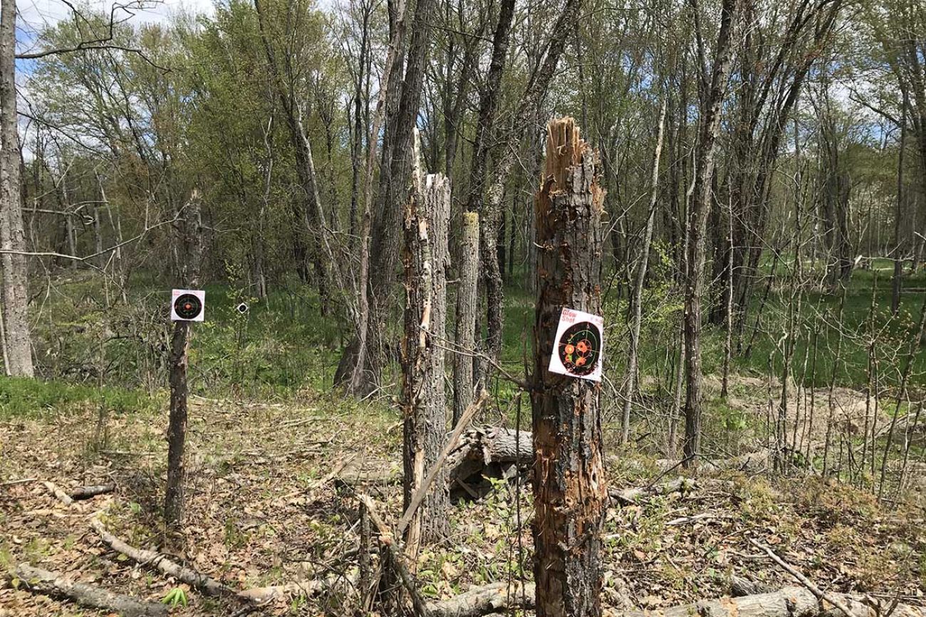 Targets affixed to mowed-down trees in the Rogue River State Game Area.