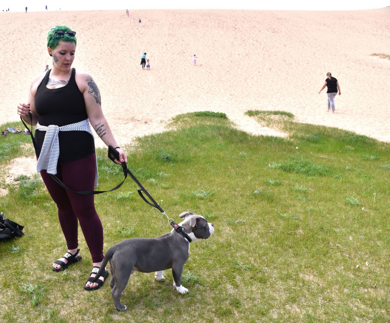 Woman walking a dog up a dune