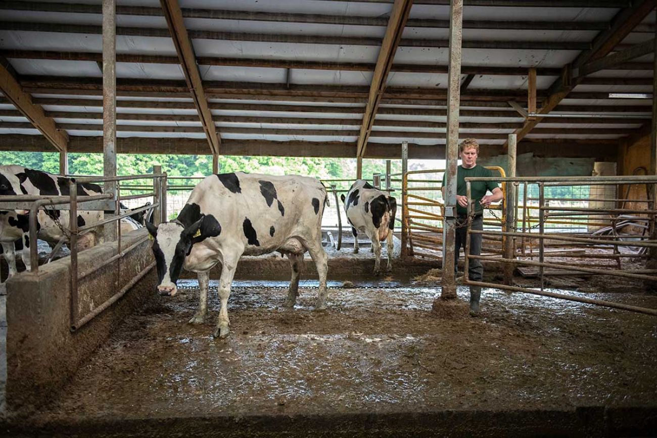 Ed McBroom’s family dairy farm