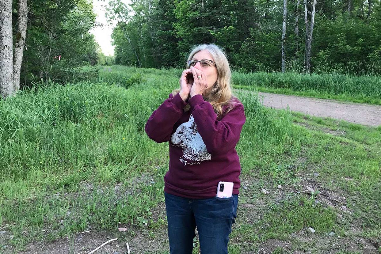 Nancy Warren, a wolf advocate who lives in the western U.P., howls into a clearing in the Ottawa National Forest in hopes of getting a response from a nearby wolf pack.