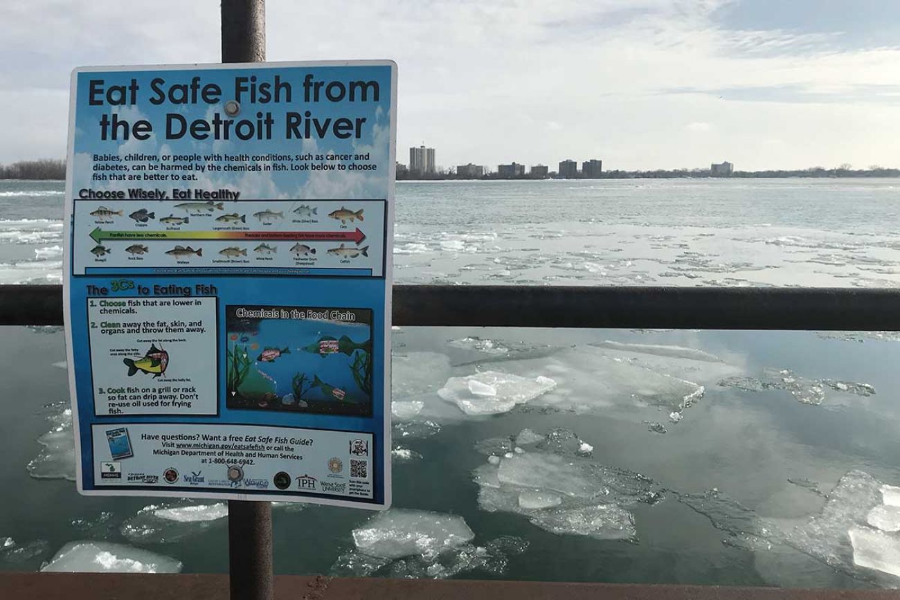 Detroit River