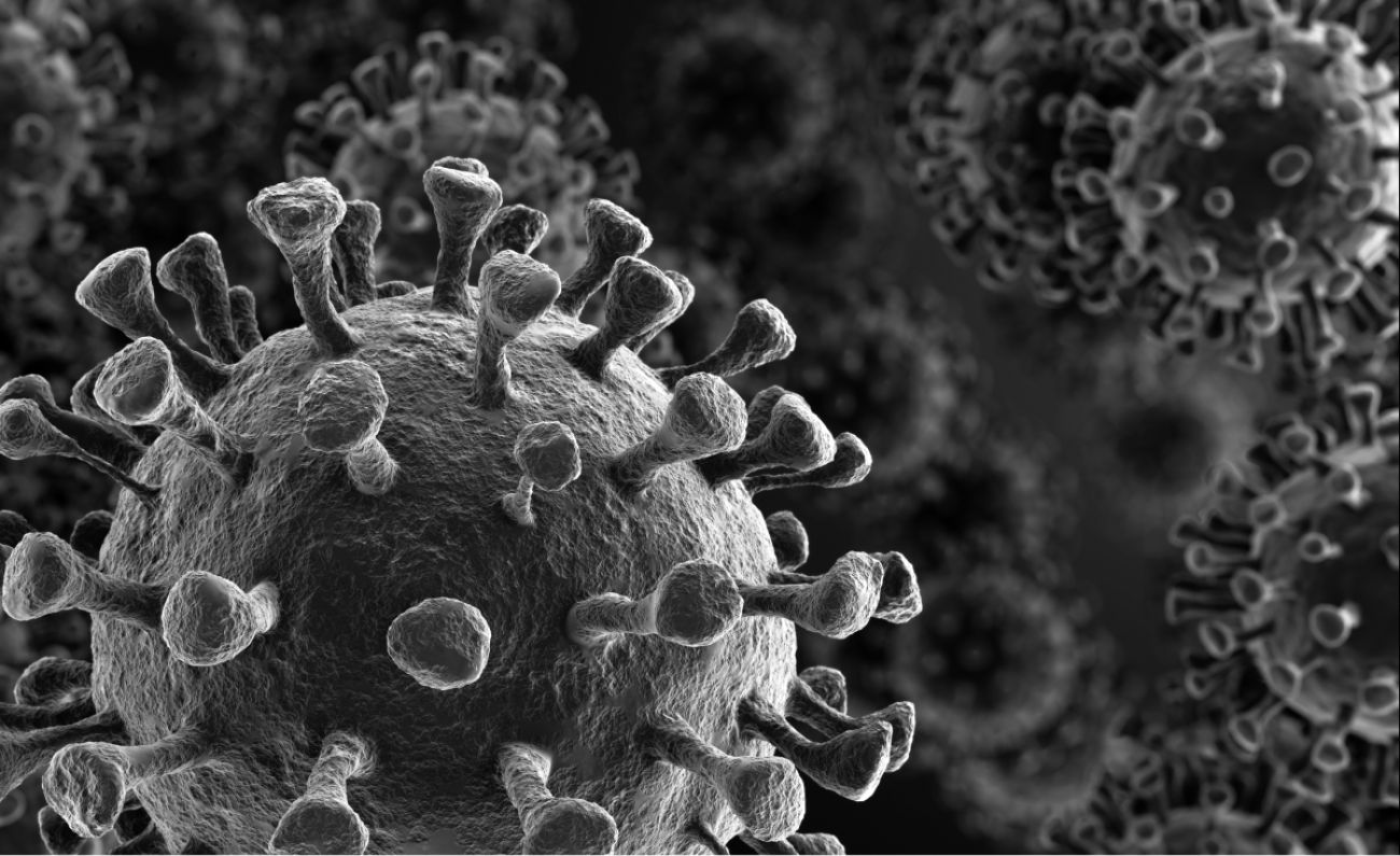 COVID virus