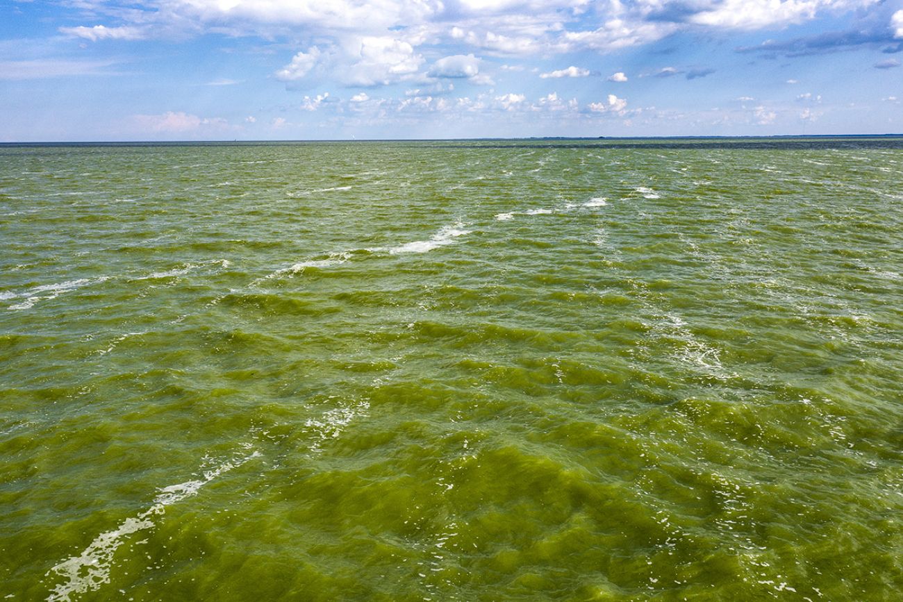 lake of algae 