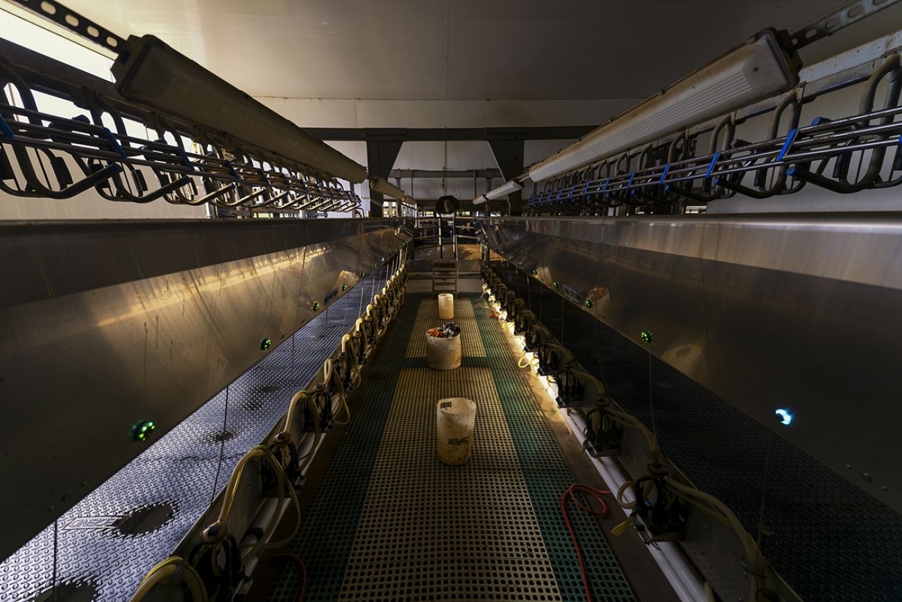 Milking parlor