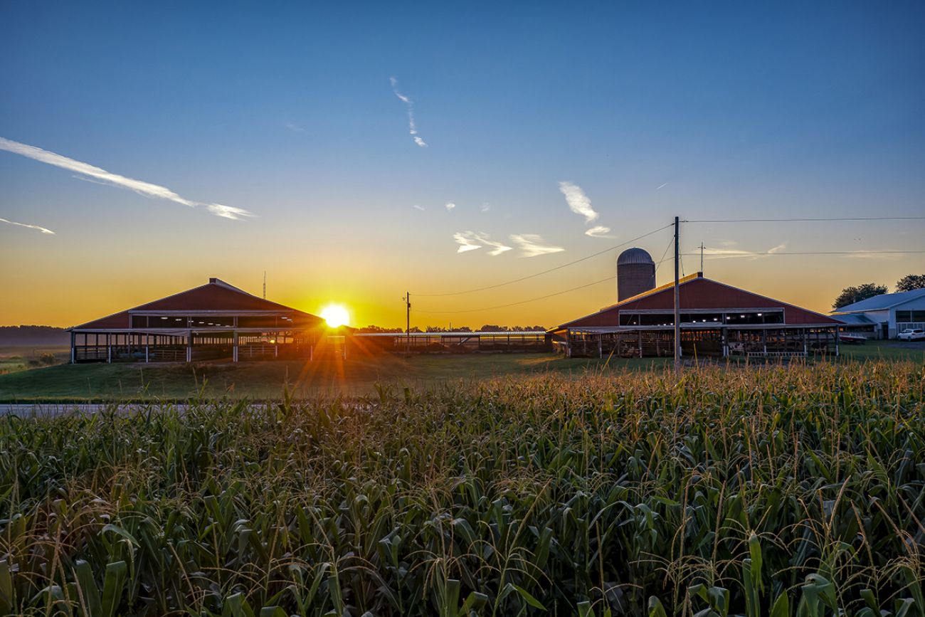 Michigan farmers using too much fertilizer, hurting water quality efforts