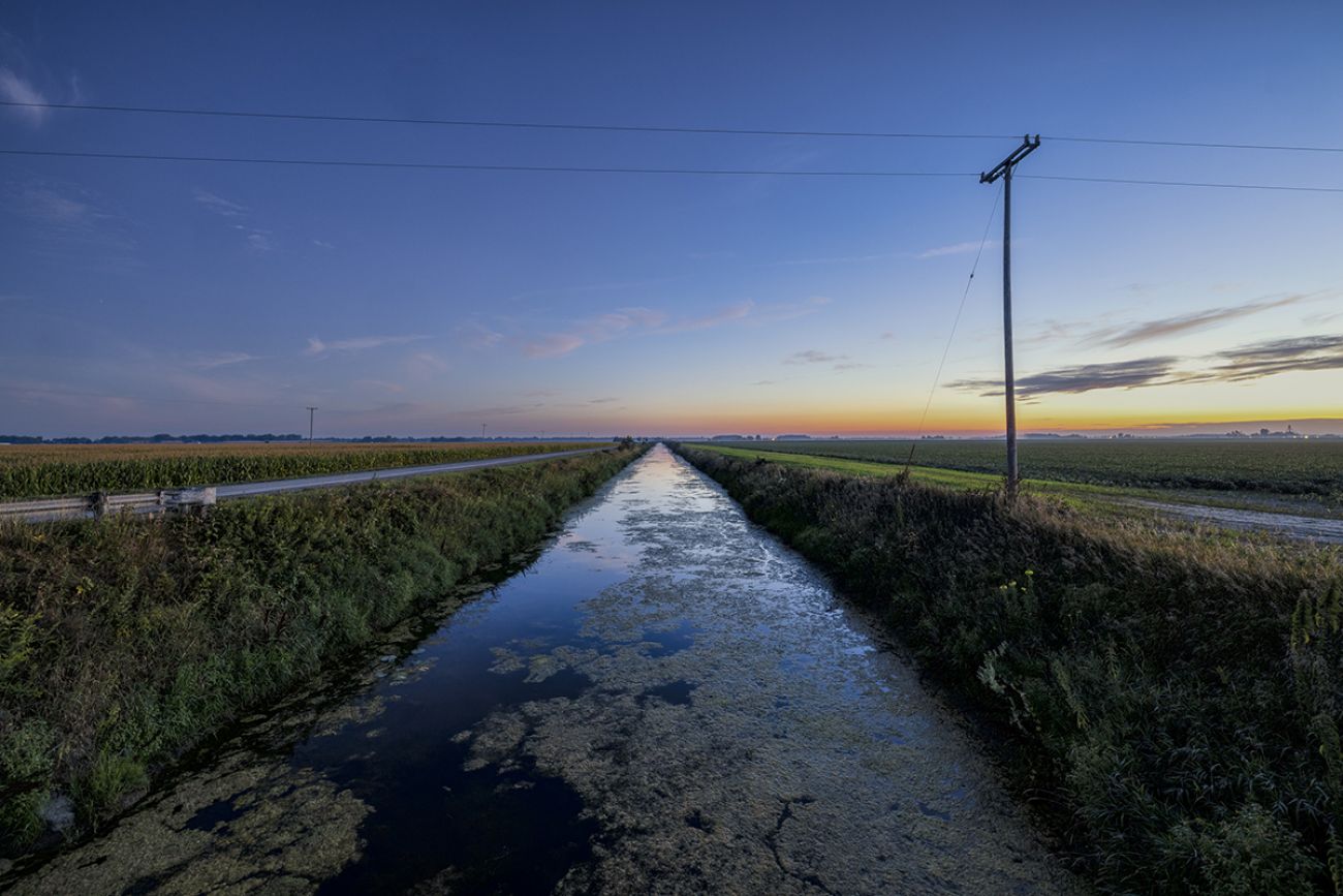 river with algae during sunrise