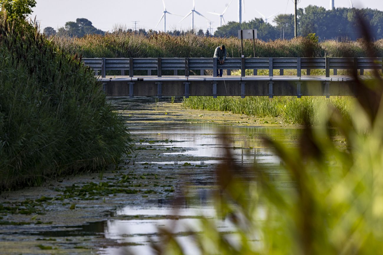 person standing on bridge looking at water