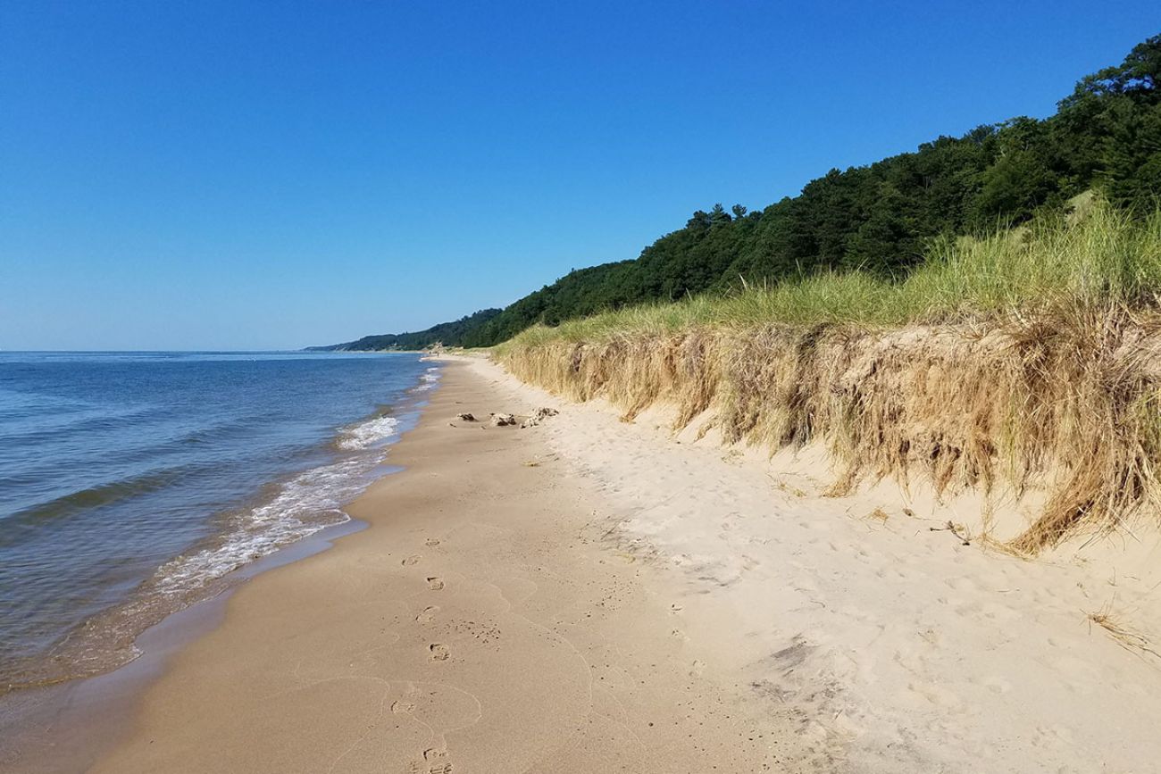 beach on a sunny day