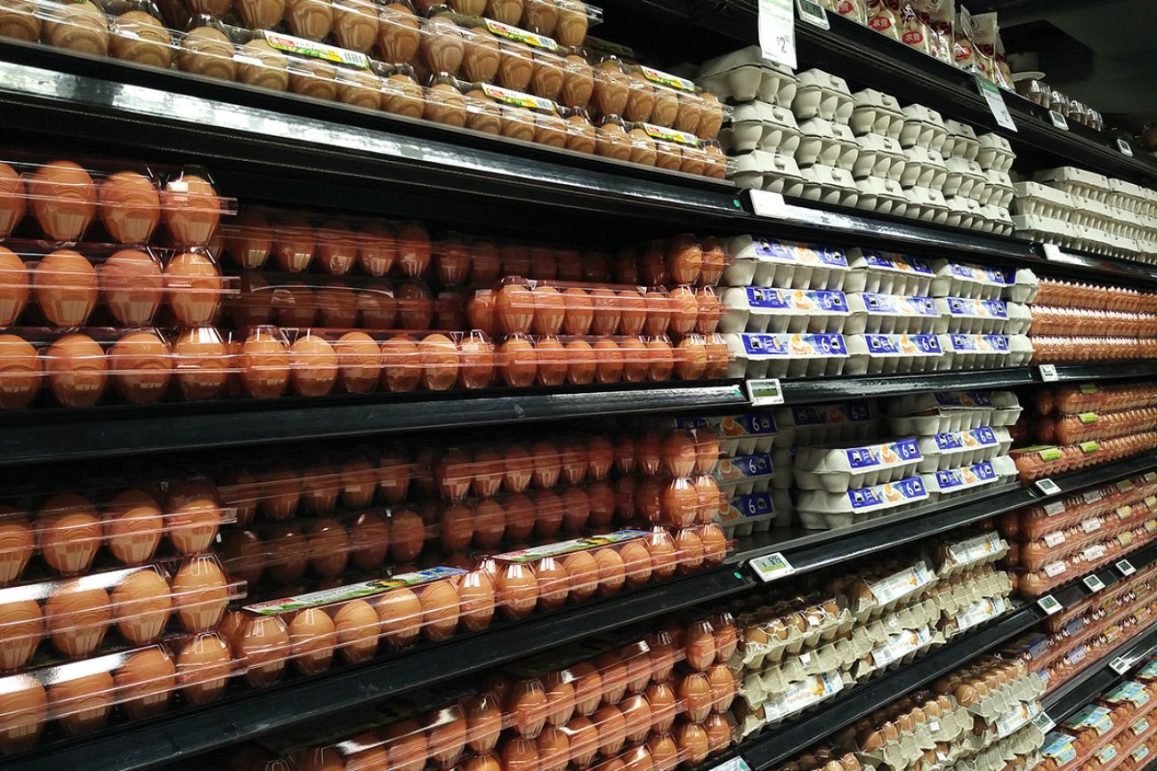 egg cartons on shelf