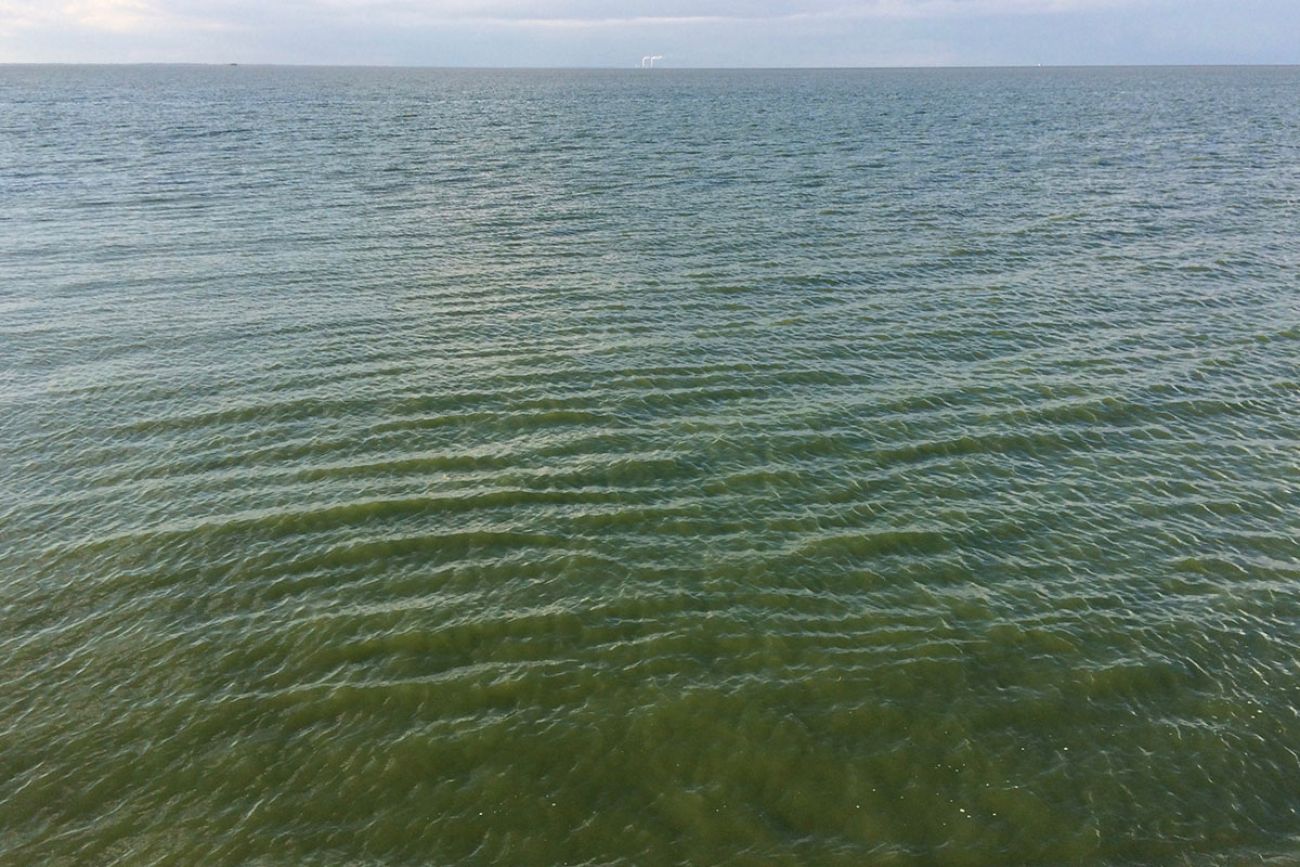 toxic blooms in lake erie