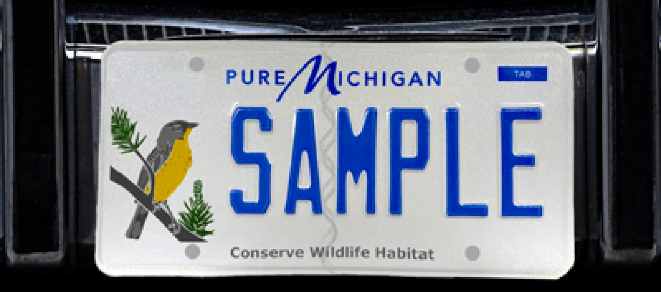 license plate with an image of a Kirtland warbler in the corner 