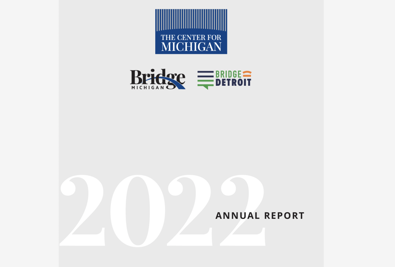 screenshot of the annual report