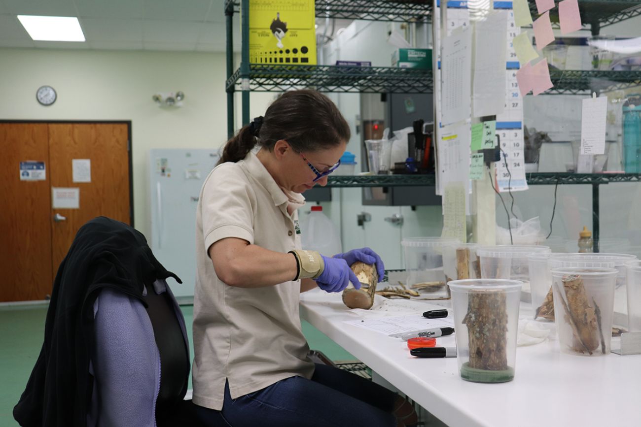 woman in a lab; sitting at a table