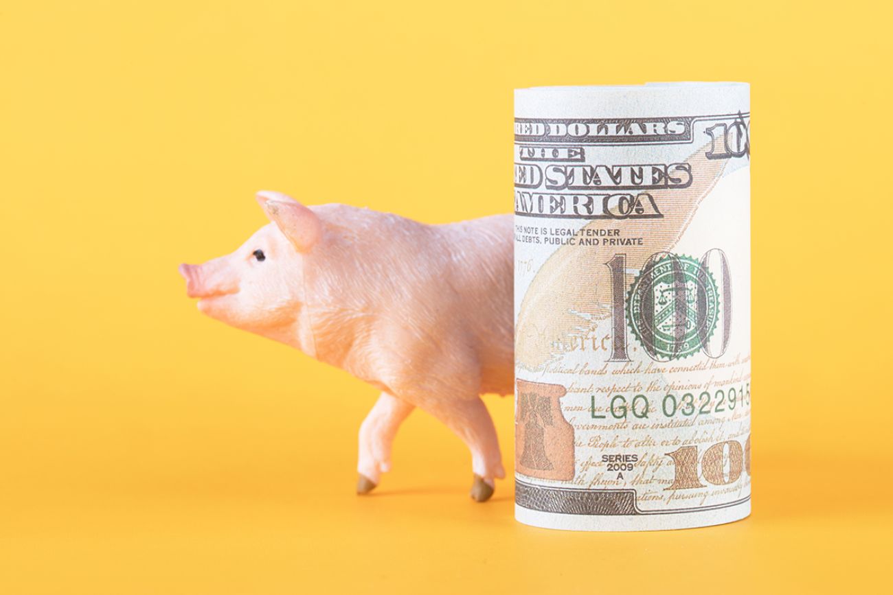 Piggy model and a roll of dollar bills