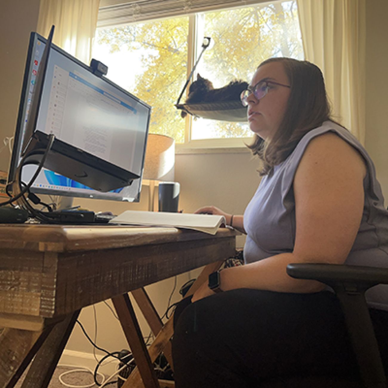 woman working on a computer. cat in a hammock in the window