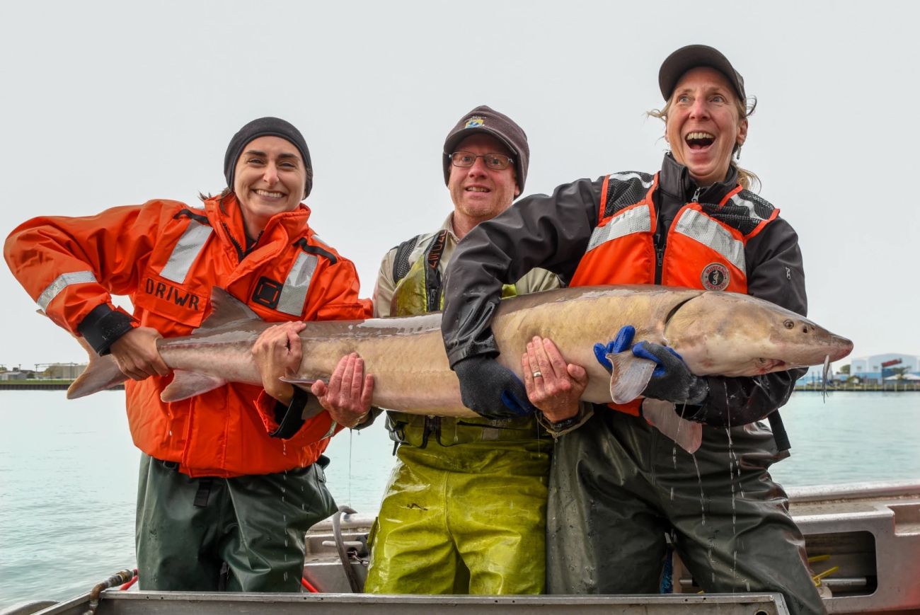 three people holding to fish