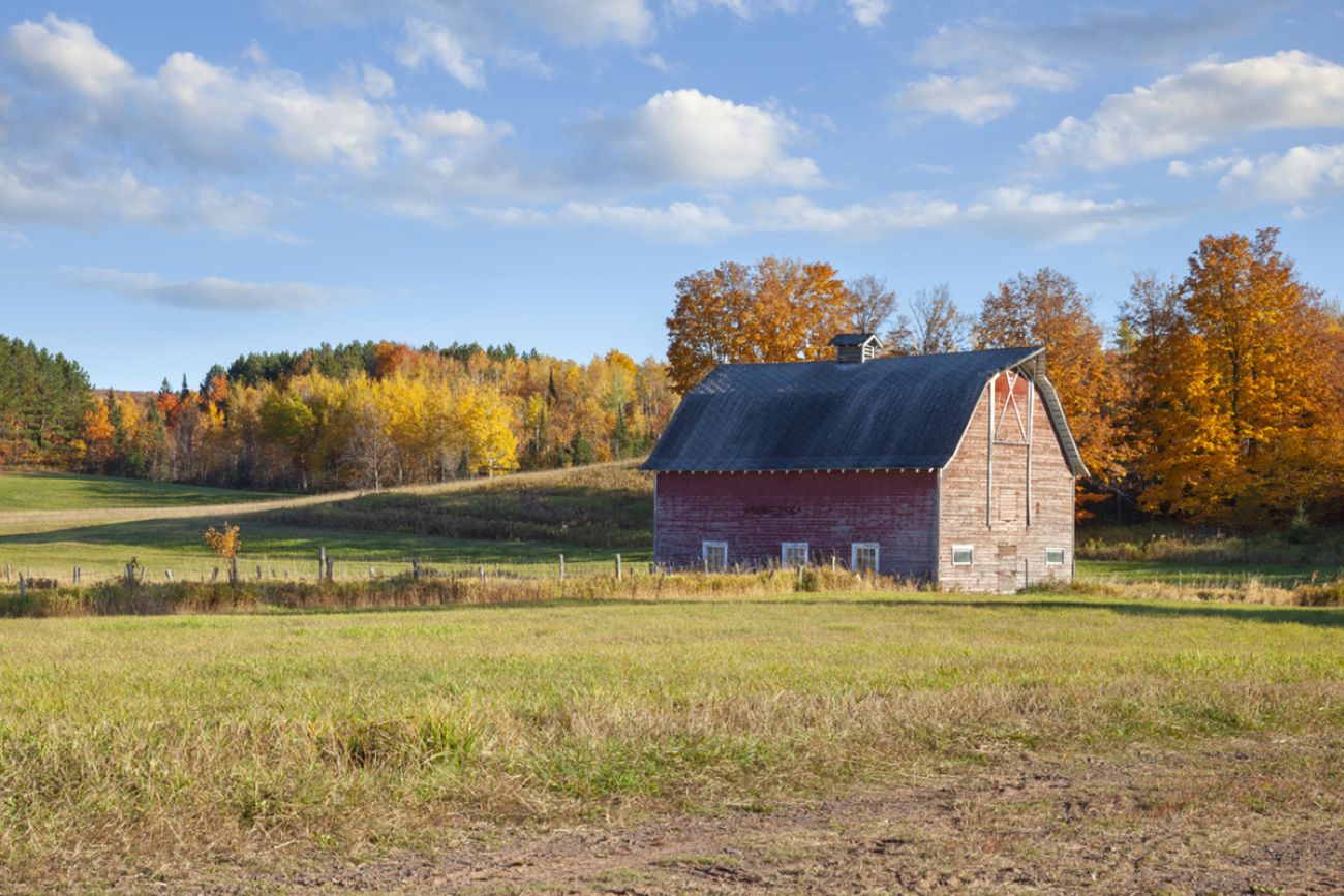 An old barn in a field with trees in autumn color on a bright afternoon in rural Michigan