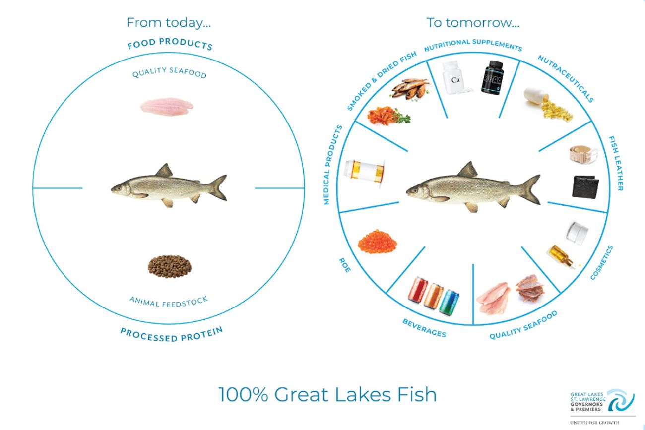 chart about fish
