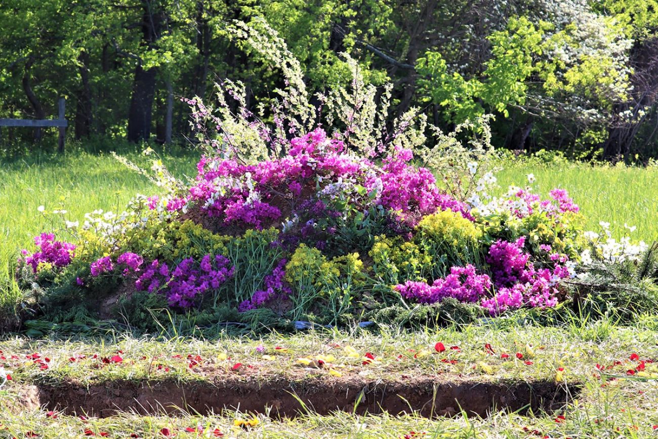 flowers with a hole in the ground