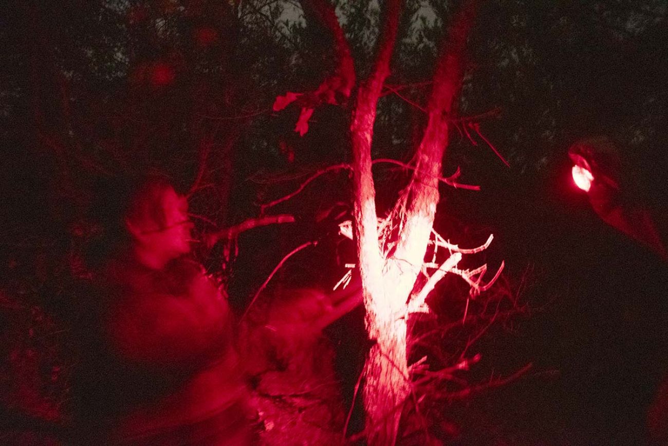 People's face light up by red lights. They are walking at night looking for Bigfoot