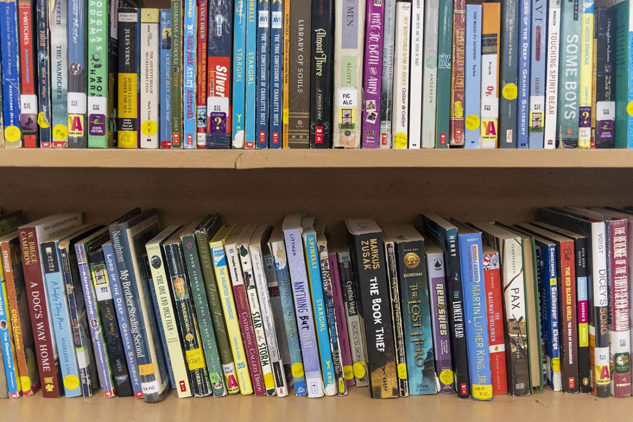 Books on two shelves.