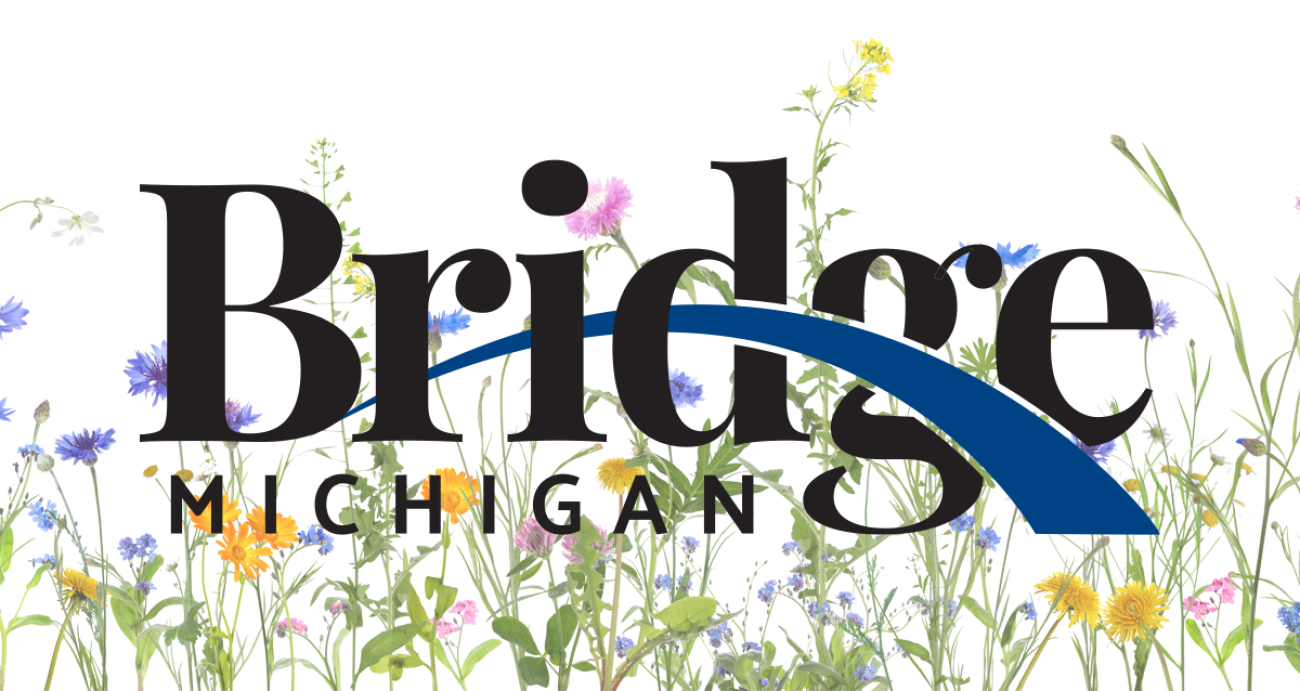 Bridge logo with spring flowers