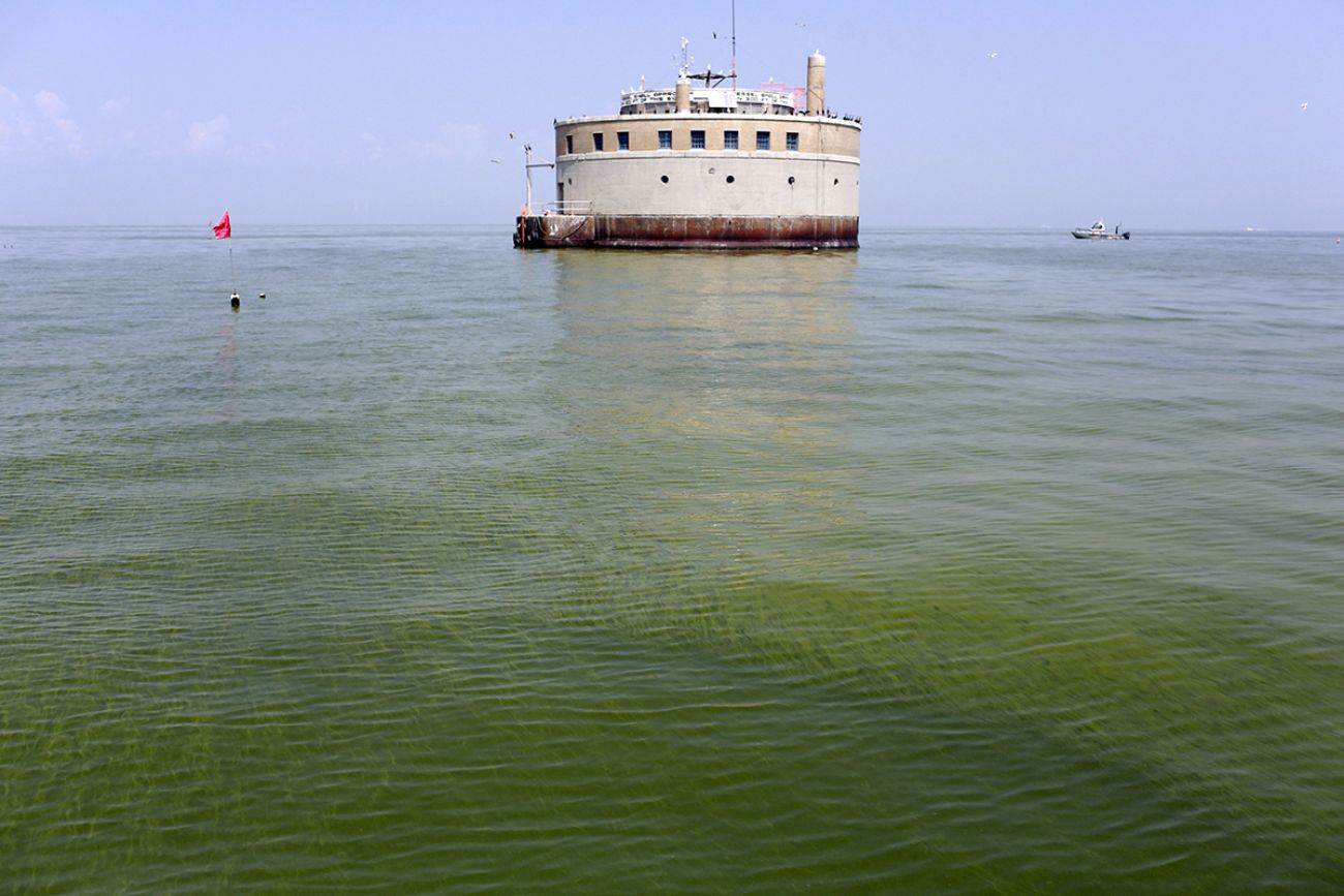 Lake Erie is green with algae.