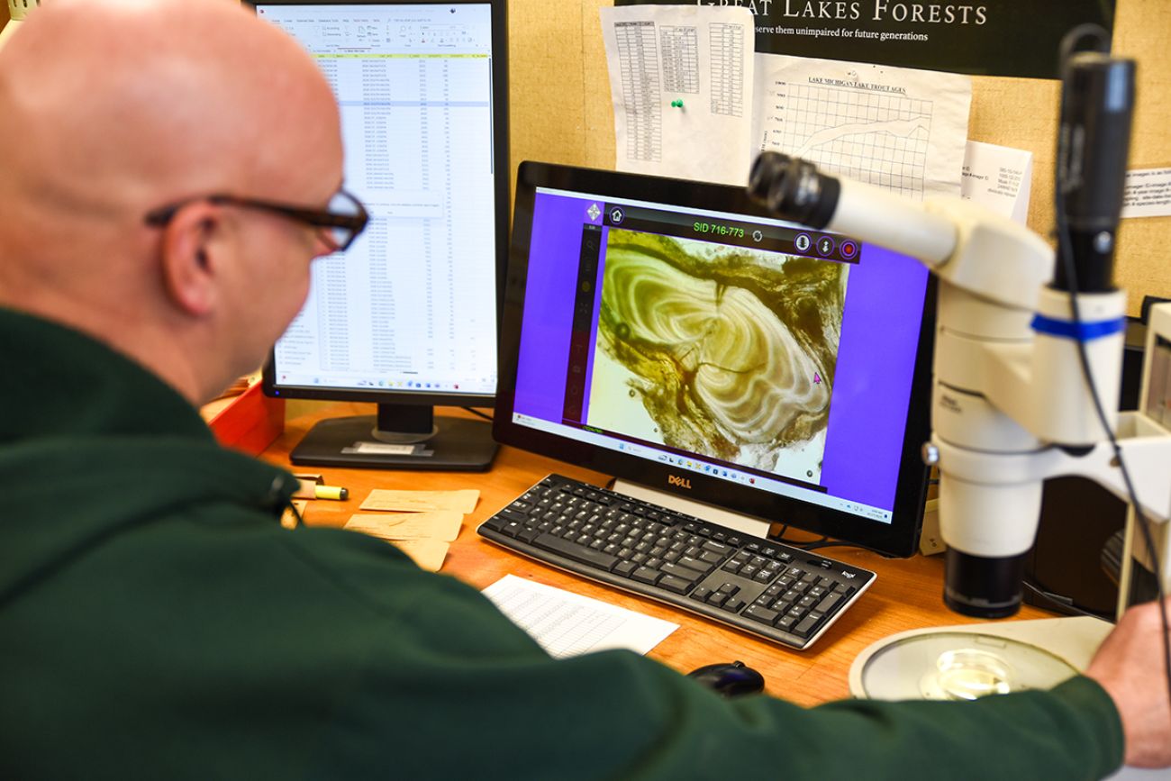 DNR fish biologist Kris Snyder looks at his computer in an office.