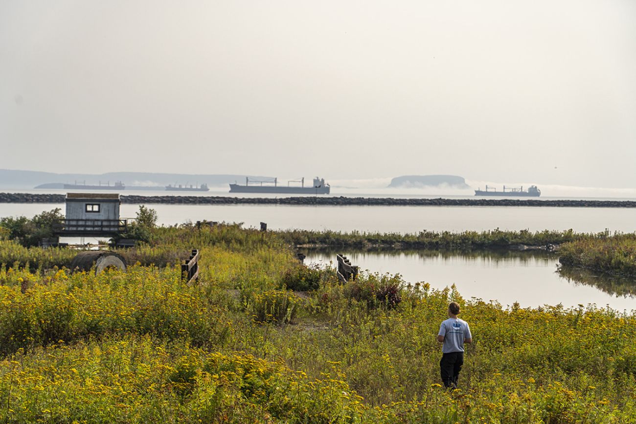 Tim Hollinger walks through North Harbour.