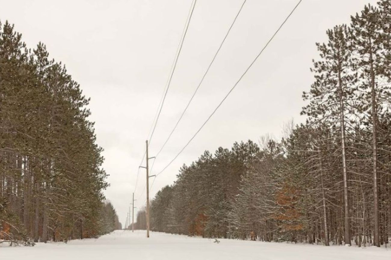 Powerlines run between two stands of tall pine trees