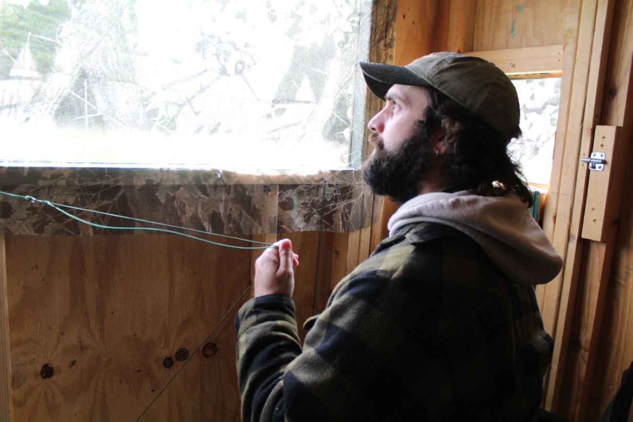 A man looks out the window of a blind while pulling on a string