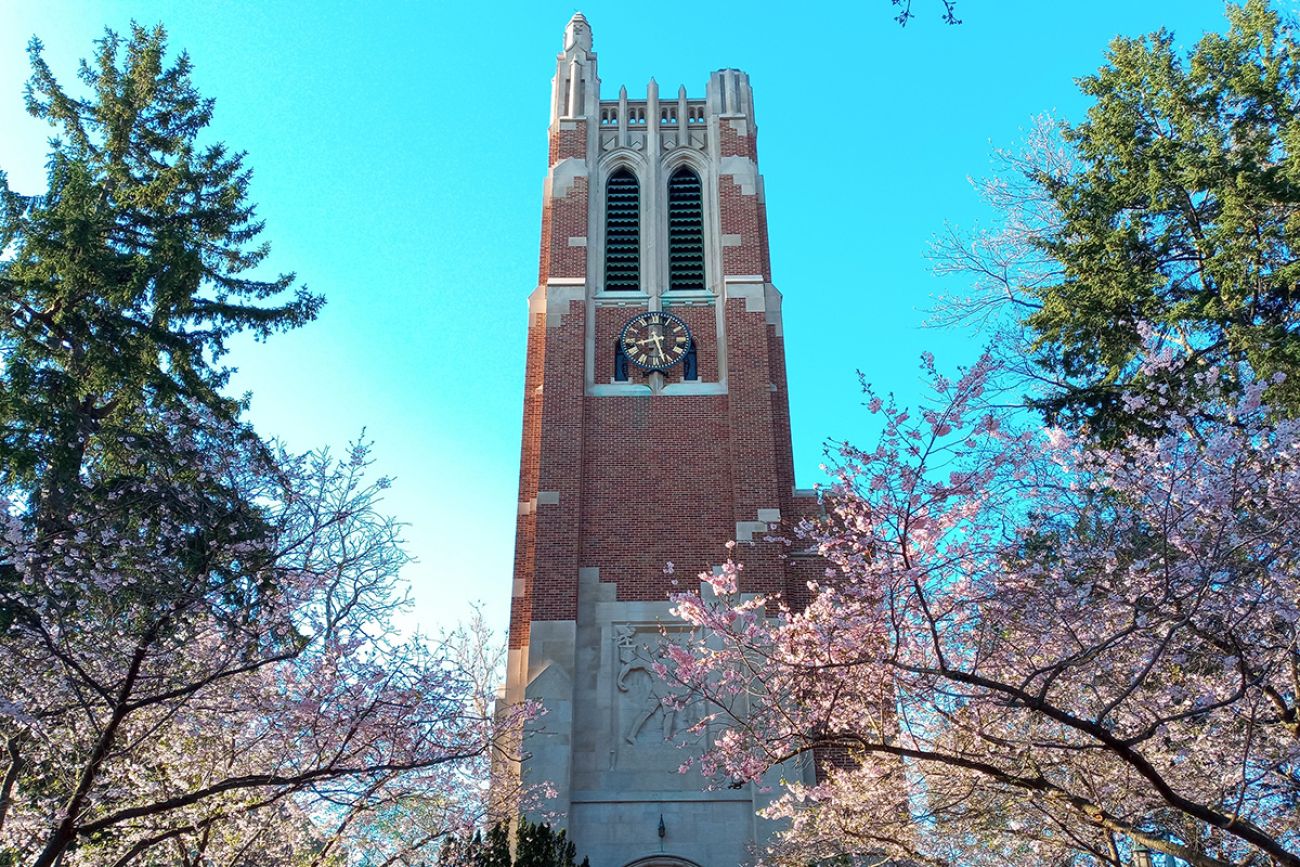 Beaumont Tower, symbol of Michigan State University, in early spring. Blue cloudless sky, pink cherries about to bloom.