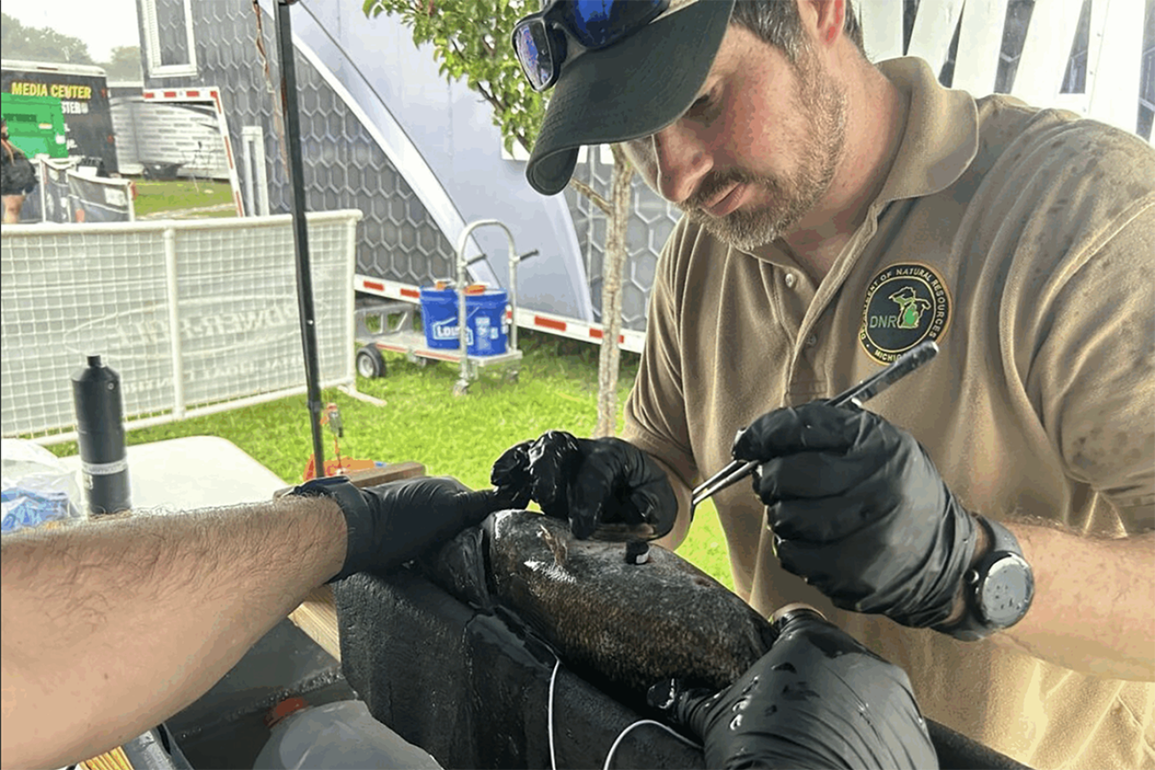 Jan-Michael Hessenauer looks at a fish.
