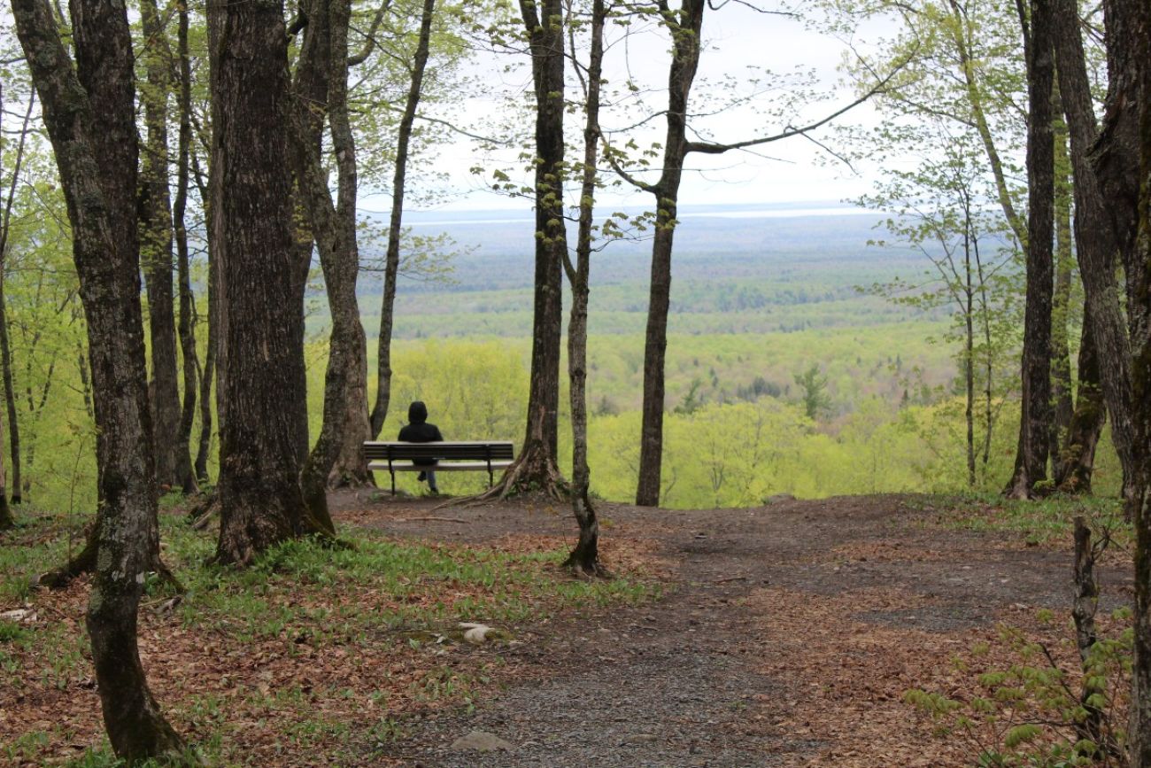 A person sits on a bench in the woods with a view of tree-covered hills beyond