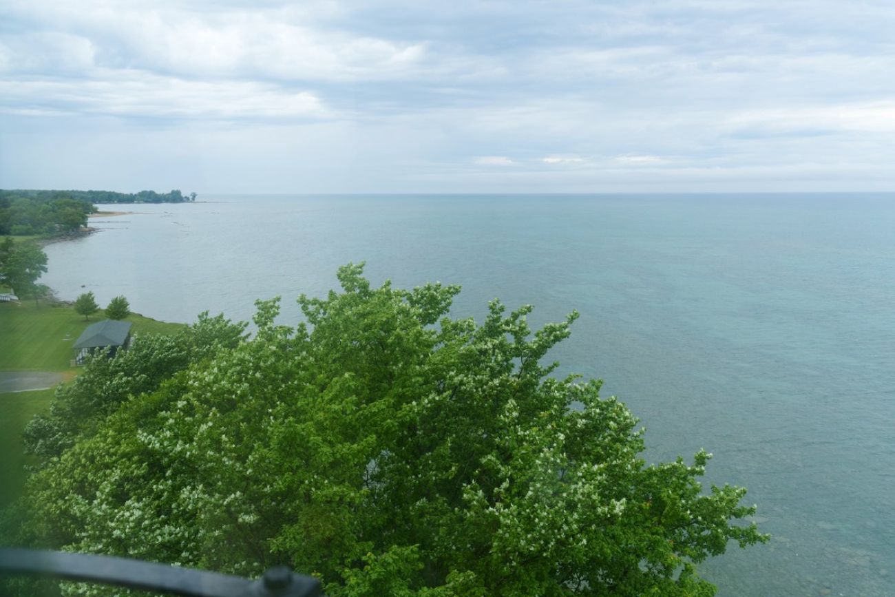 A view of Lake Huron with trees in the foreground