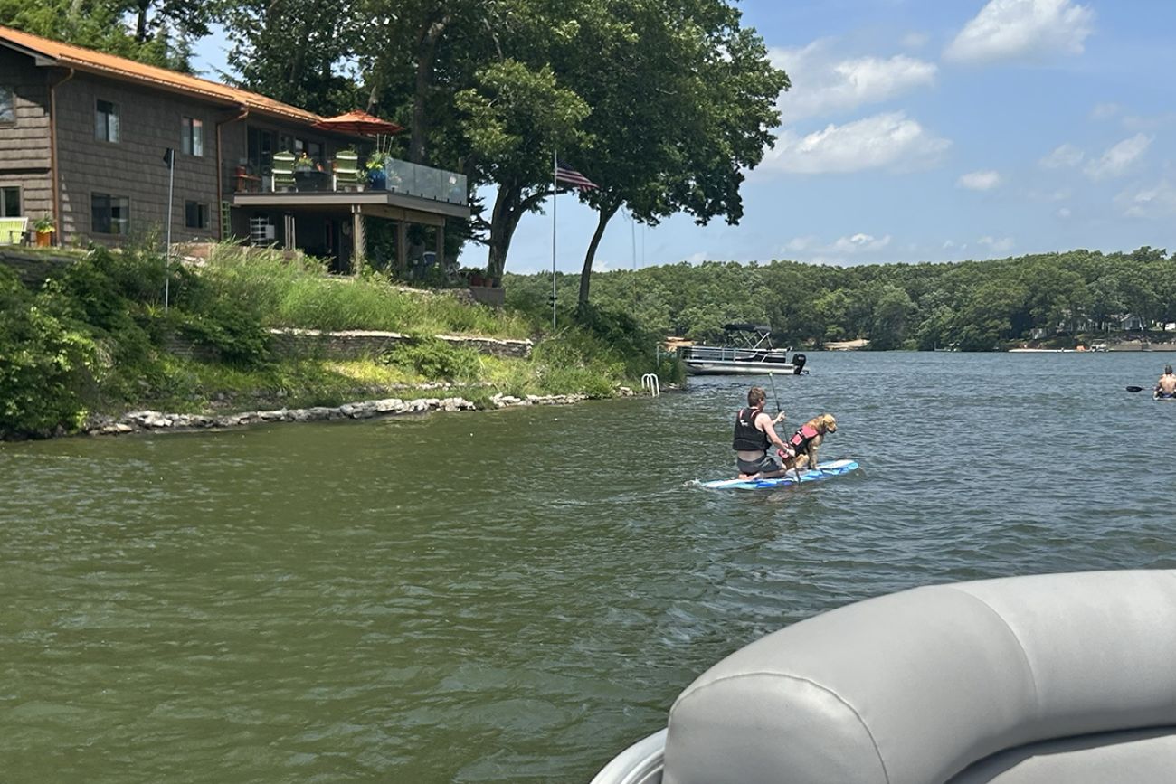 A person and a dog on a blue paddle board.