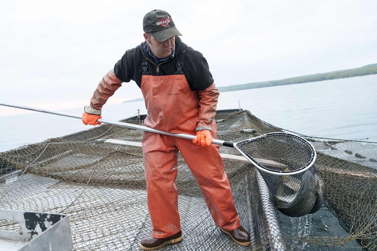 Joel Petersen carries a net of whitefish. He is wearing orange overalls.