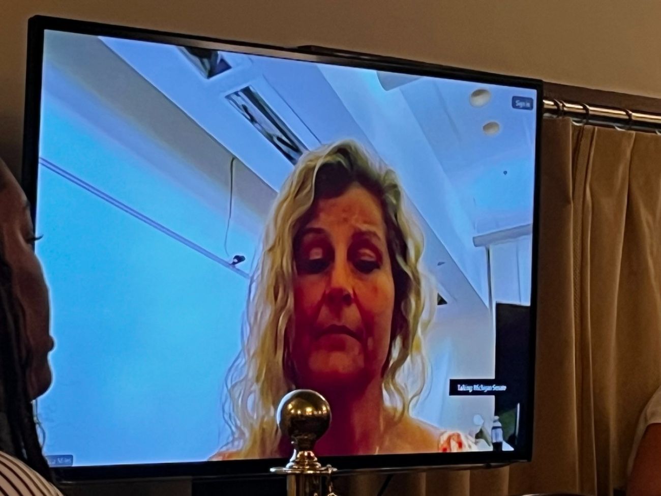 Woman on virutal meeting screen