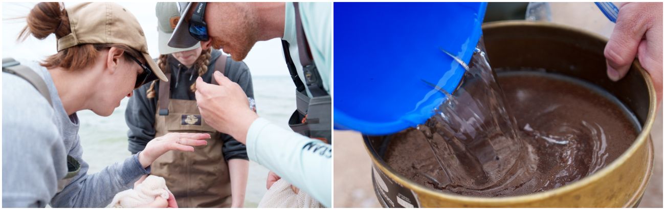 A collage of two photos. One person is looking at fish, while another is observing water being poured into a container.