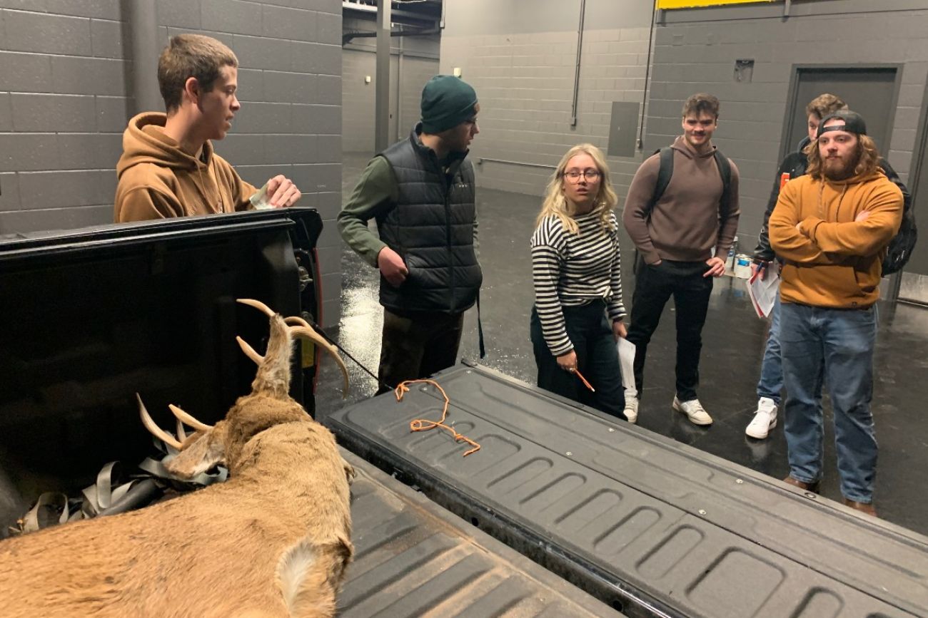 College students stand around the bed of a pickup in which a fake deer carcass rests