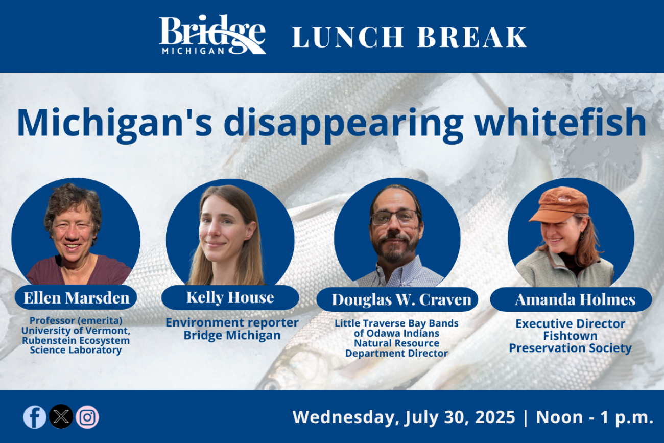 A photo graphic showing the four participants in an upcoming Zoom discussion