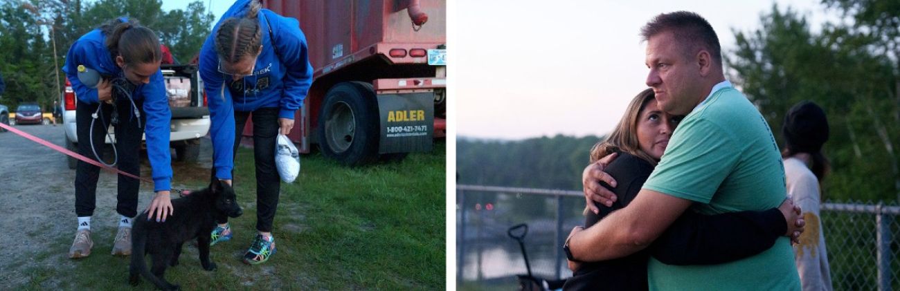 This collage of photos shows people petting a dog and a man and woman hugging