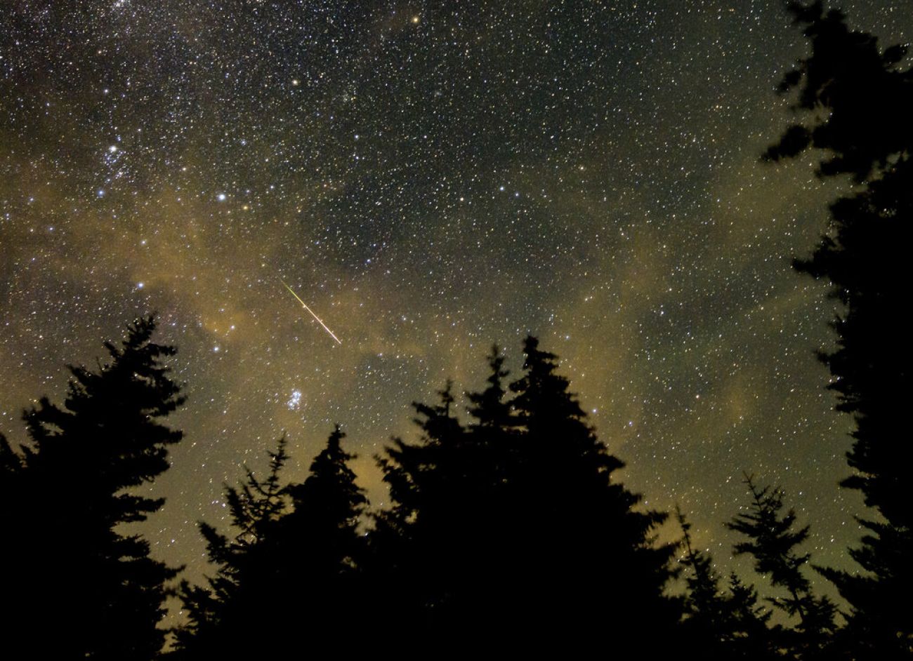 Perseid meteor shower in the sky.