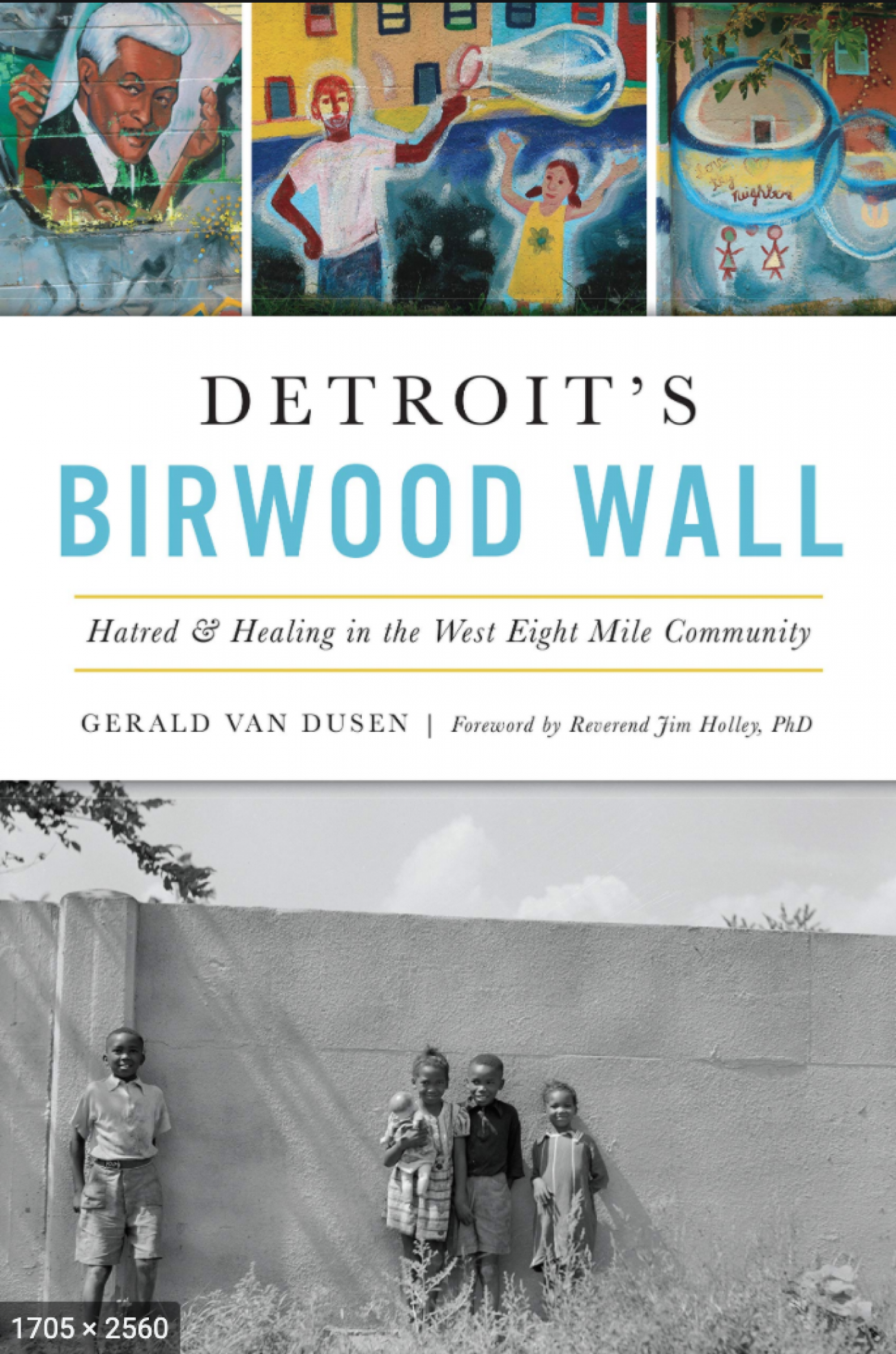 Birwood Wall book