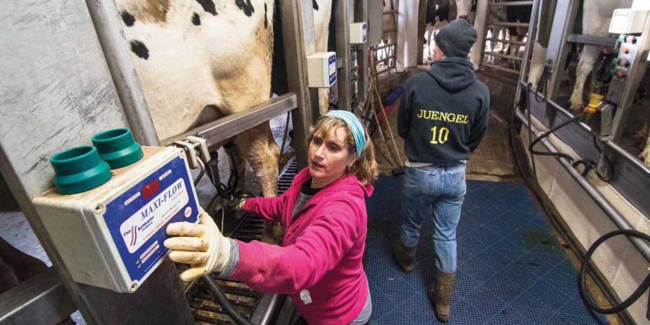 Low milk prices are a big headache for Michigans family dairy farms image photo