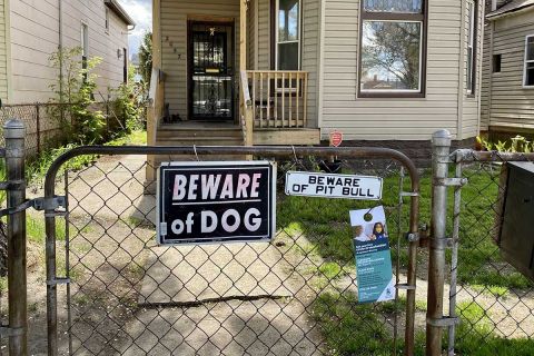 Fences, locked gates and especially dogs keep canvassers from getting on porches and making critical face-to-face contact.
