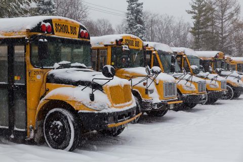 school bus